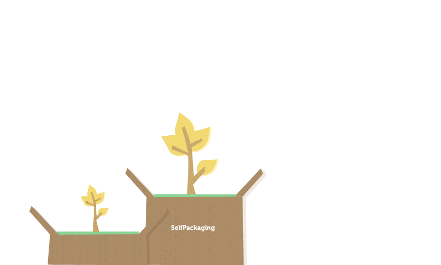 cajas.png