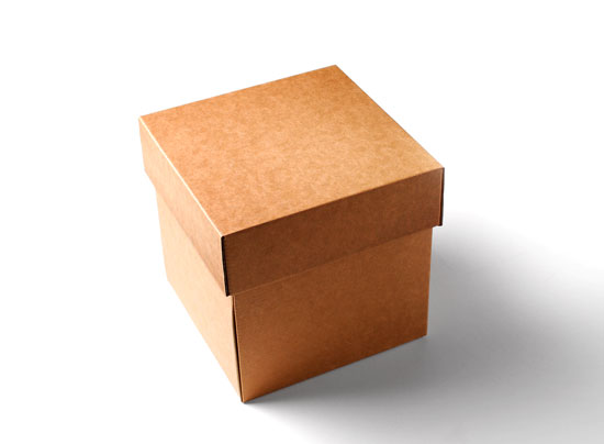 Shipping Box with Separate Lid