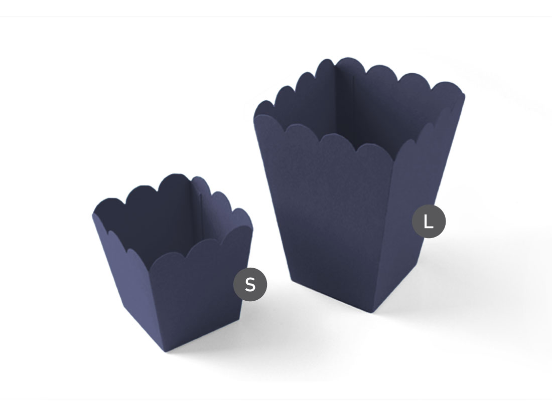 Popcorn Box for Parties and Events