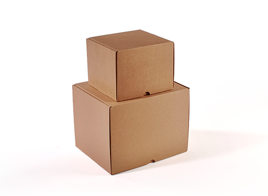 Tall self-assembly shipping box