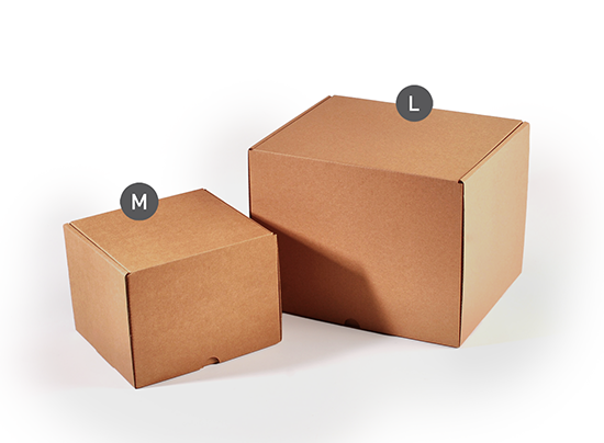 Tall self-assembly shipping box